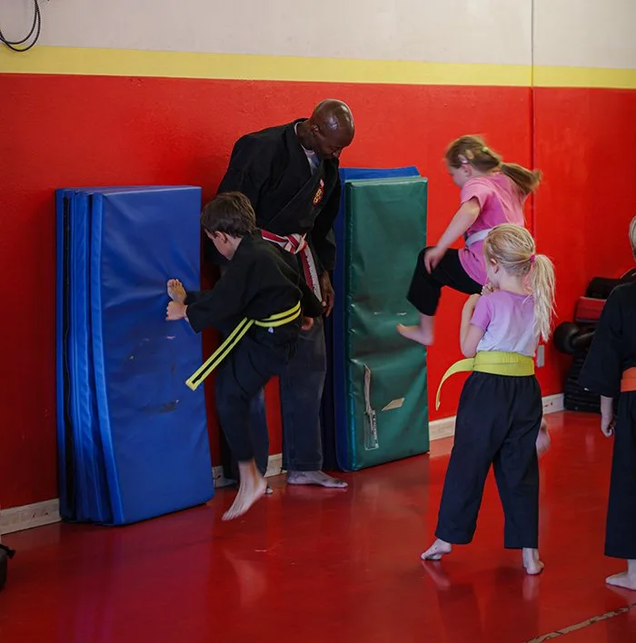 James martial arts academy kids martial arts classes