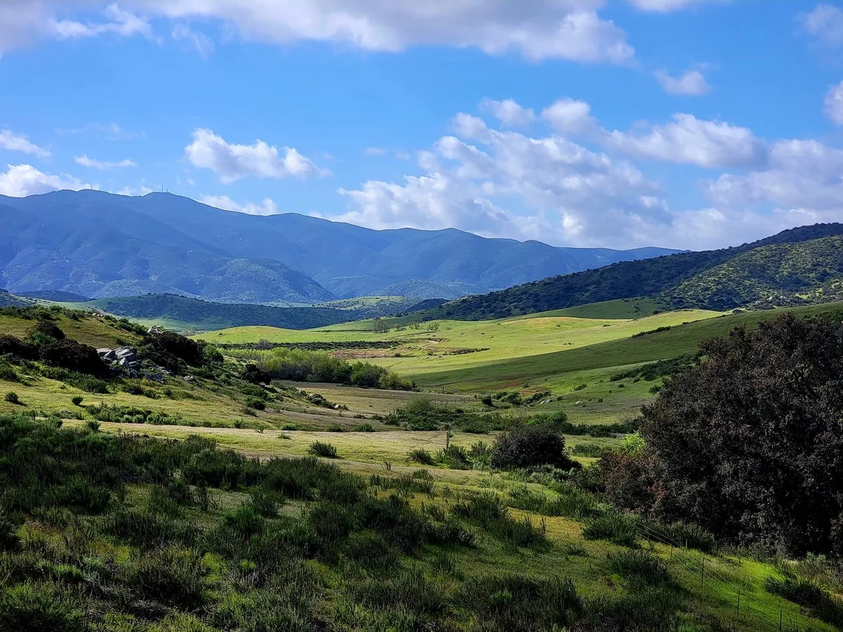 Rolling green hills and oak woodlands of Jamul, CA with mountains in the distance, the rural East County community served by James Martial Arts Academy in El Cajon